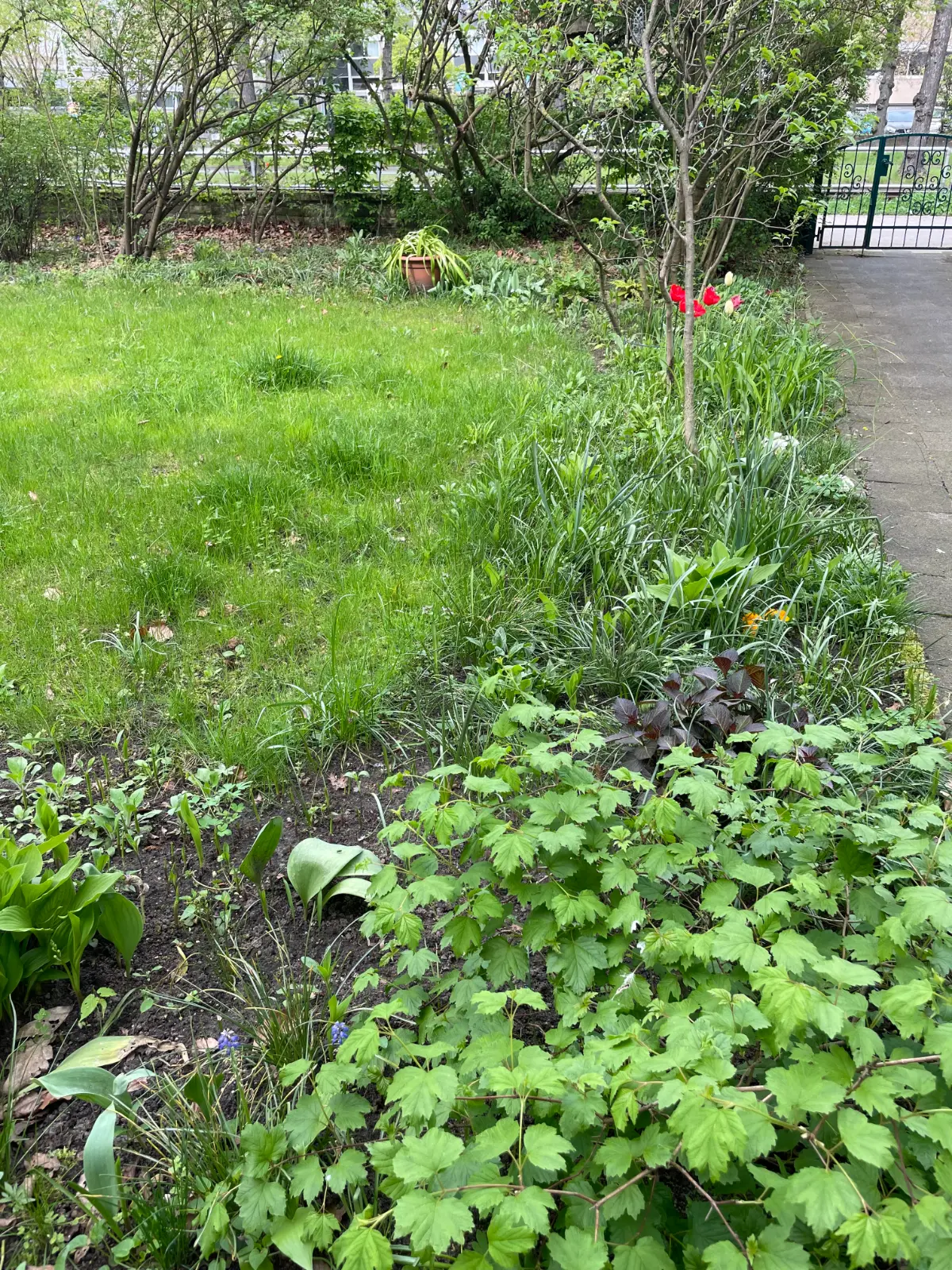 The Garden