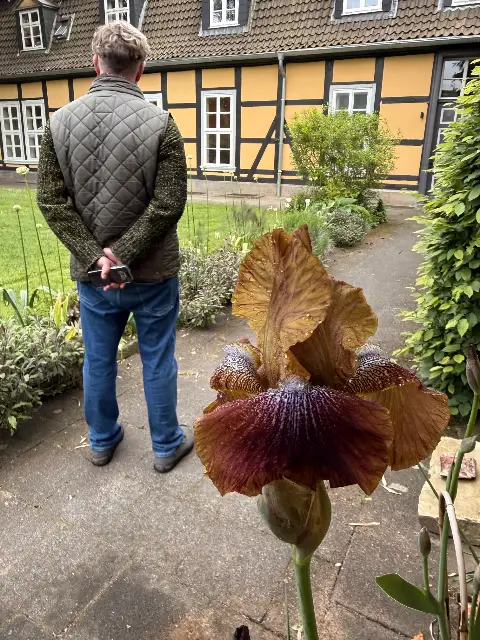 The Garden