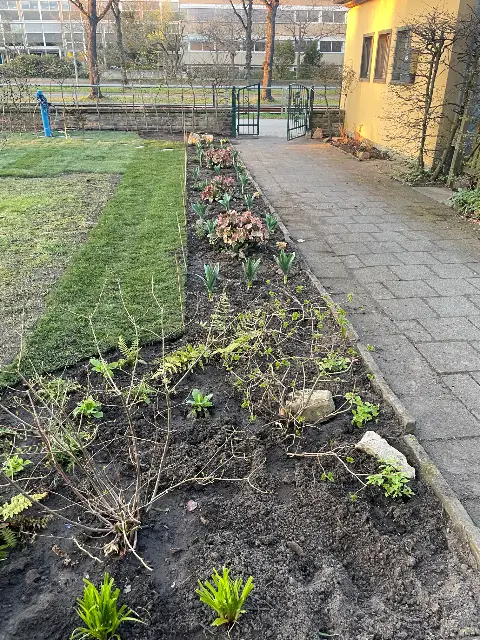 The Garden