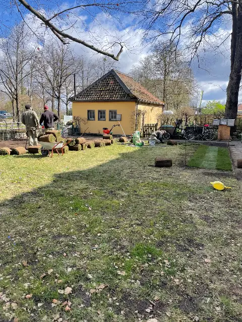The Garden